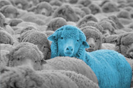 How We Connect with Customers