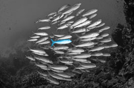 How We Connect with Customers