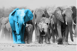 How We Connect with Customers