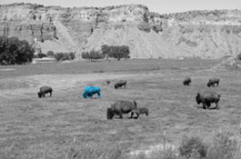 How We Connect with Customers